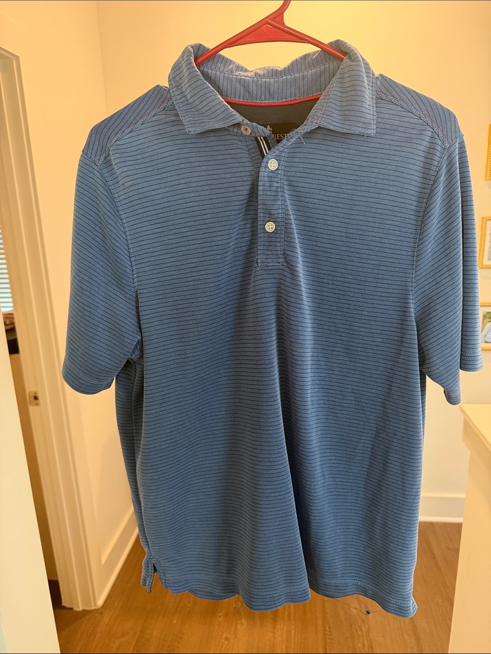 RAINFOREST Men's Blue Microstripe Polo Shirt